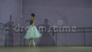 年轻的白种人芭蕾舞女演员表演<strong>各种</strong>芭蕾舞步和<strong>姿势</strong>